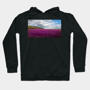 Lavender field in The Cotswolds Hoodie